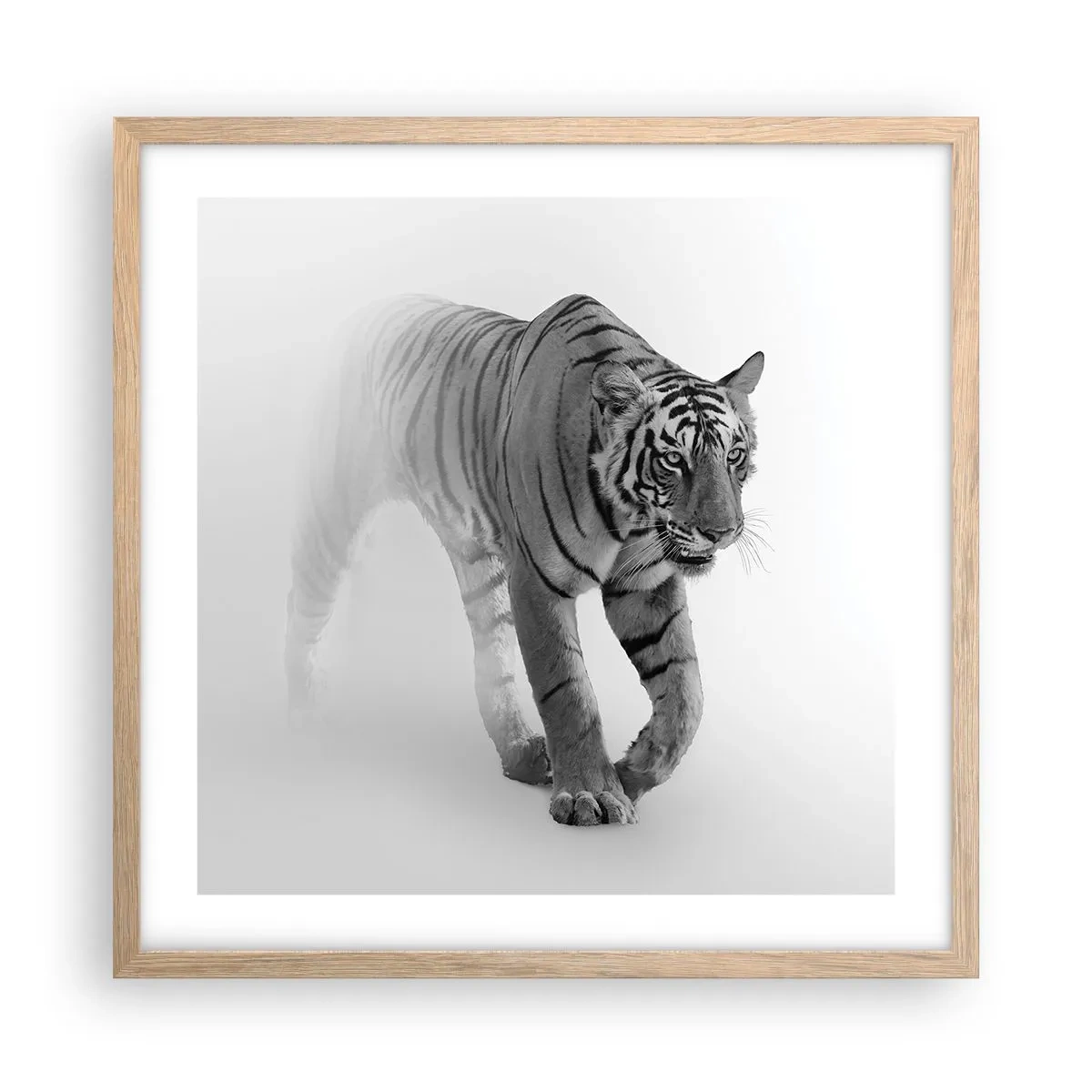 Poster in light oak frame - Crouching in Fog - 50x50 cm