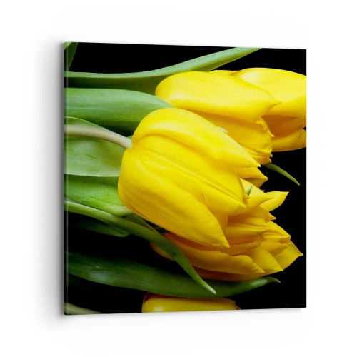 Canvas picture - Born from the Sun - 70x70 cm