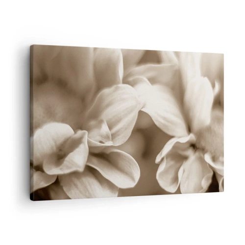 Canvas picture - Close-up of flowers in a delicate sepia tone with soft contours - 70x50cm - Soft as a Smile - Modern wall decoration for the living room and bedroom ARTTOR