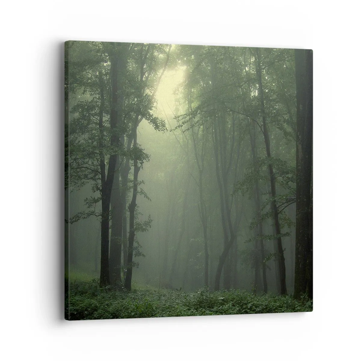 Canvas picture - Before It Wakes Up - 40x40 cm