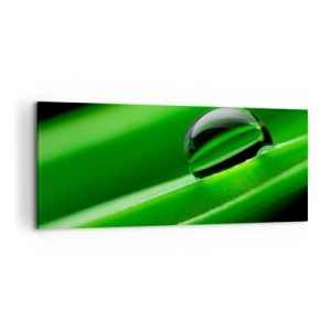 Canvas picture - Life from a Close-Up - 120x50 cm