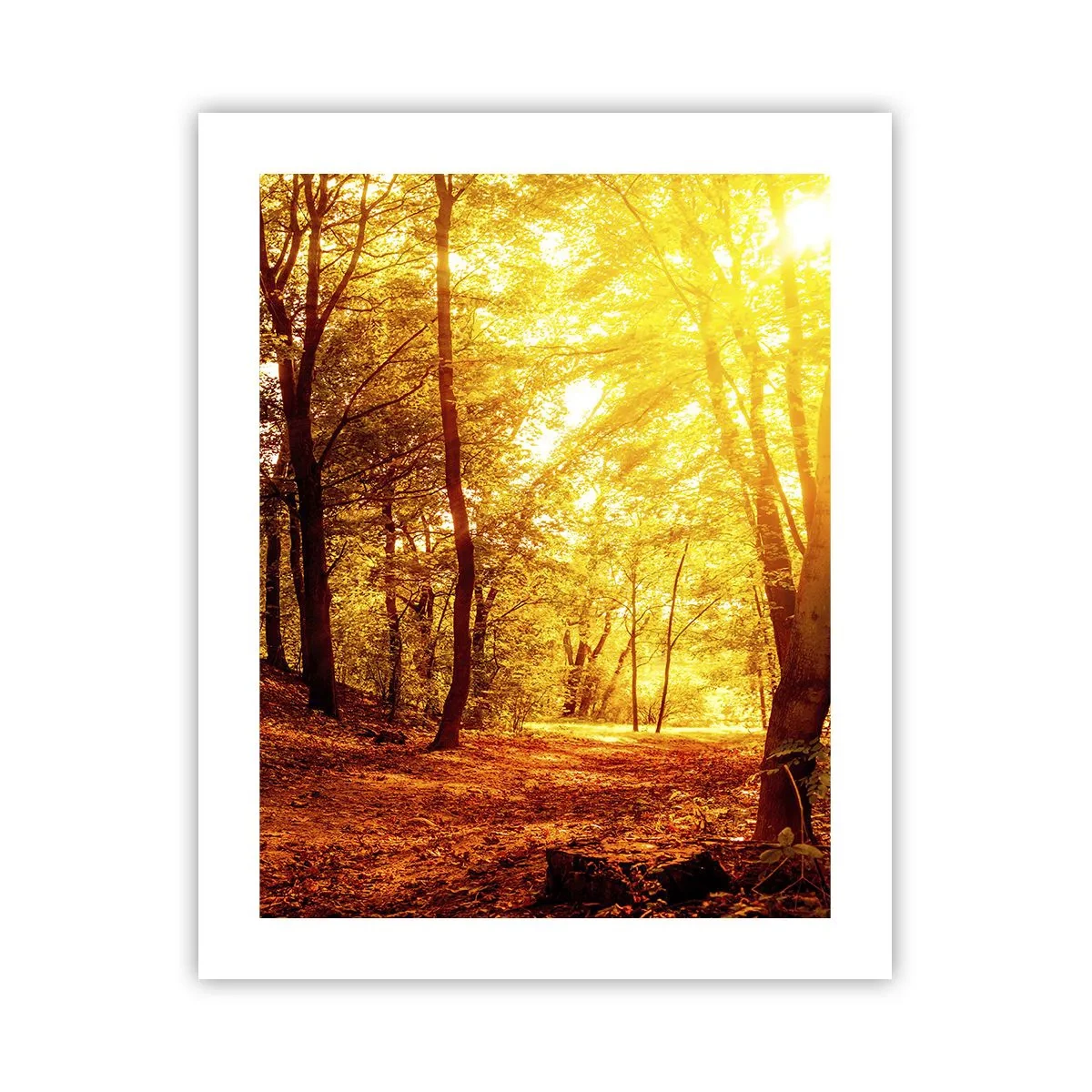 Poster - Towards Golden Plain - 40x50 cm