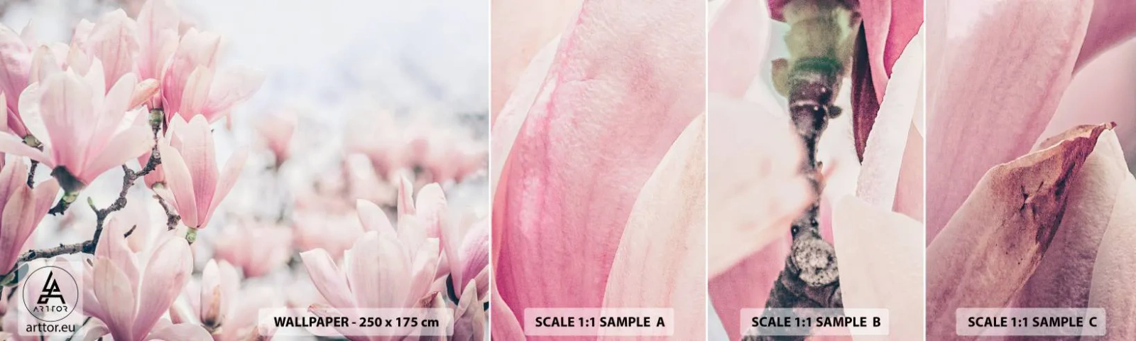 Photo Wallpaper Sample Self-Adhesive Deluxe Sticker - Ideal of Subtlety - Magnolia, Flowers, Magnolia Tree - 100x30 cm