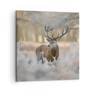 Canvas picture - Chilly Morning - 50x50 cm