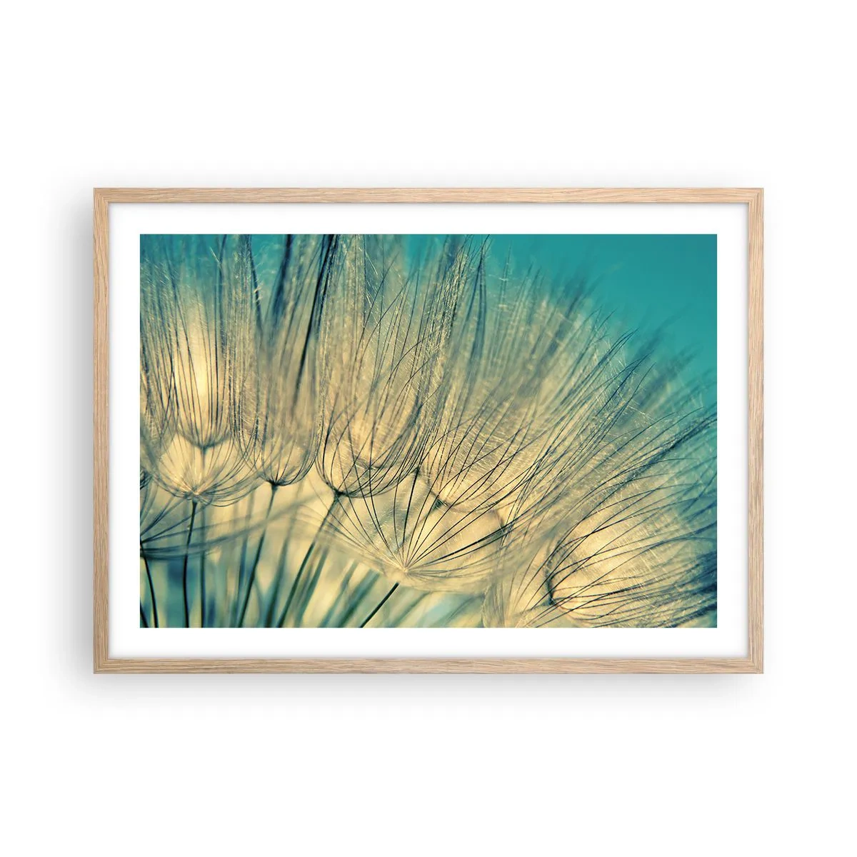 Poster in light oak frame - Waiting for the Wind - 70x50 cm