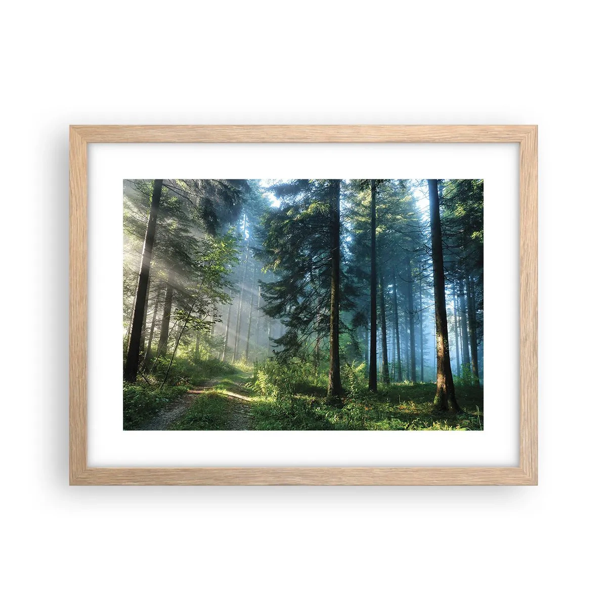 Poster in light oak frame - Radiant at Dawn - 40x30 cm