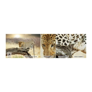 Photo Wallpaper Sample Premium Canvas - I Mark My Own Path - Animals, leopard, Africa - 100x30 cm