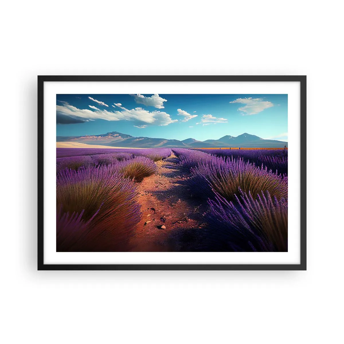 Poster in black frame - Fragrant Fields - 70x50 cm
