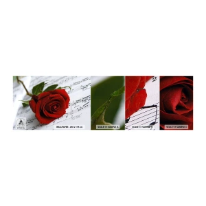 Photo Wallpaper Sample Standard Eco - Music of Feelings in Scarlet - Flowers, Rose, Music - 100x30 cm