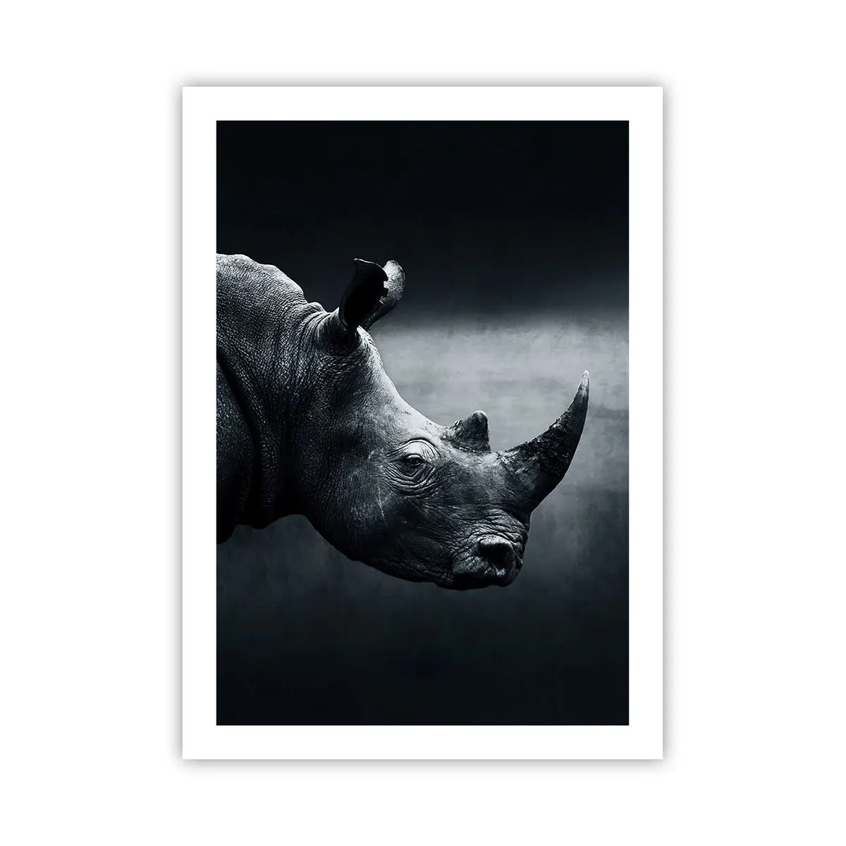 Poster - Right Profile - 50x70 cm