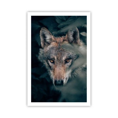 Poster - Hunter - 61x91 cm