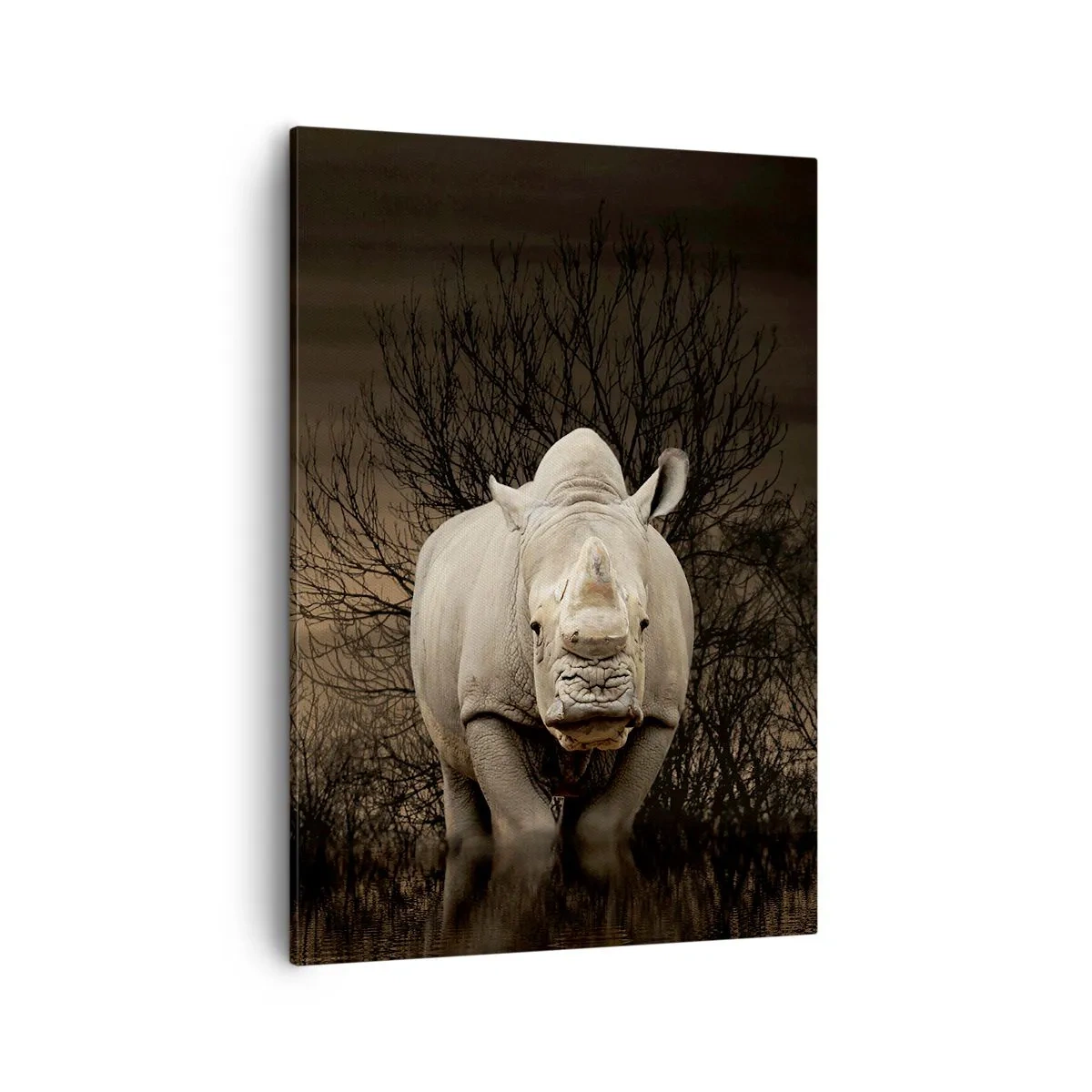 Canvas picture - White against Nature - 50x70 cm