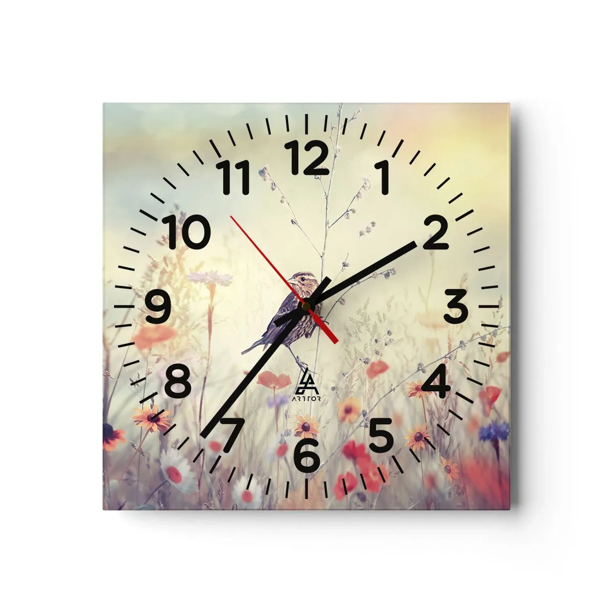 Wall clock - Clock on glass - Bird Portrait with a Meadow in the Background - 40x40 cm