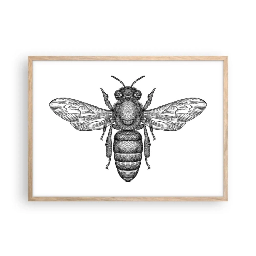 Poster in light oak frame - Insect Portrait - 70x50 cm