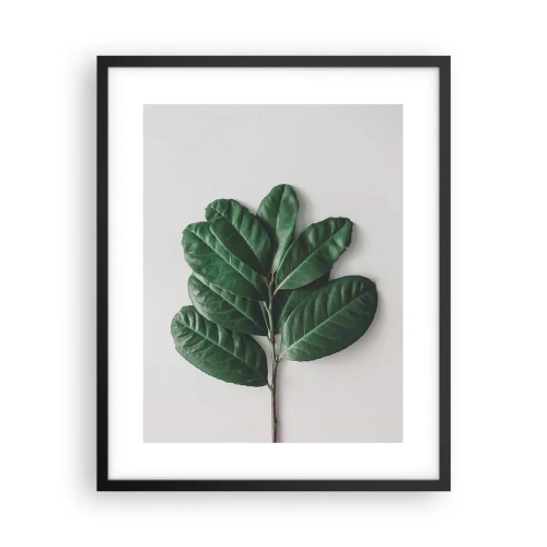 Poster in black frame - Drawing of Nature Itself - 40x50 cm