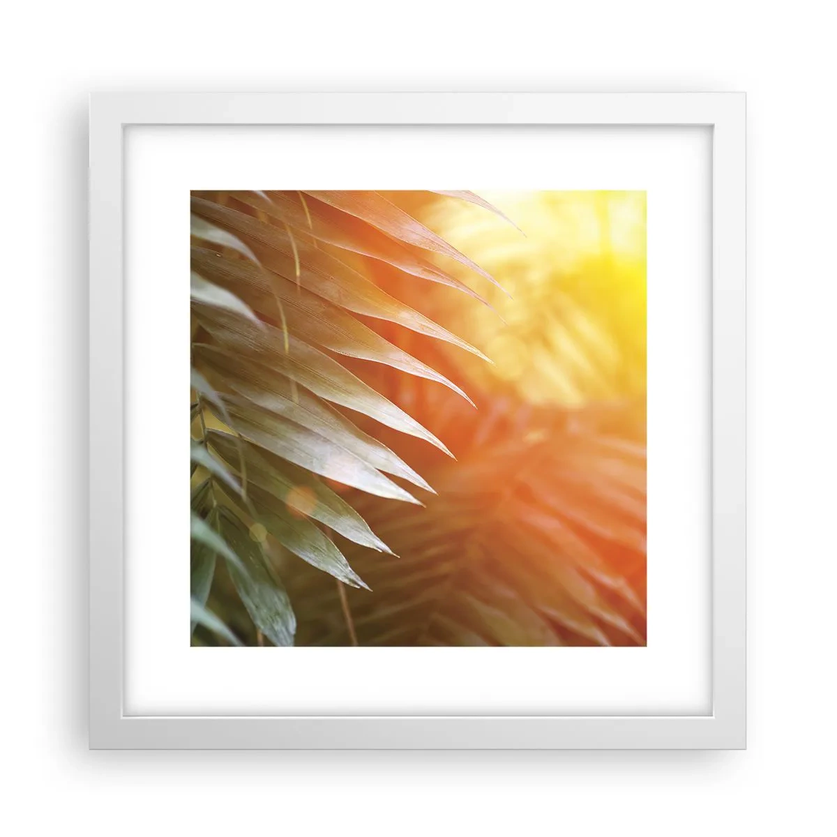 Poster in white frmae - Morning in the Jungle - 30x30 cm