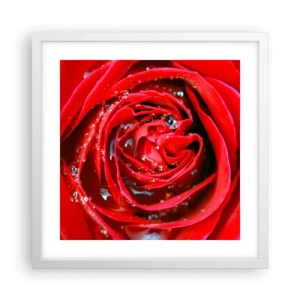 Poster in white frmae - In Dew Drops - 40x40 cm