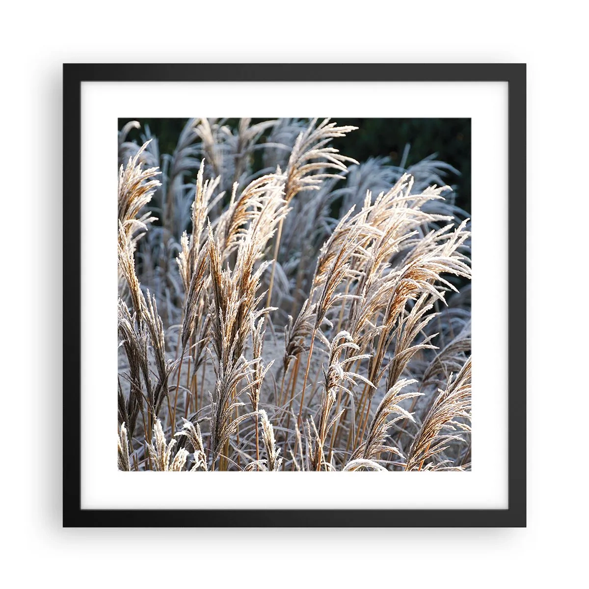 Poster in black frame - Decorated with Frost - 40x40 cm