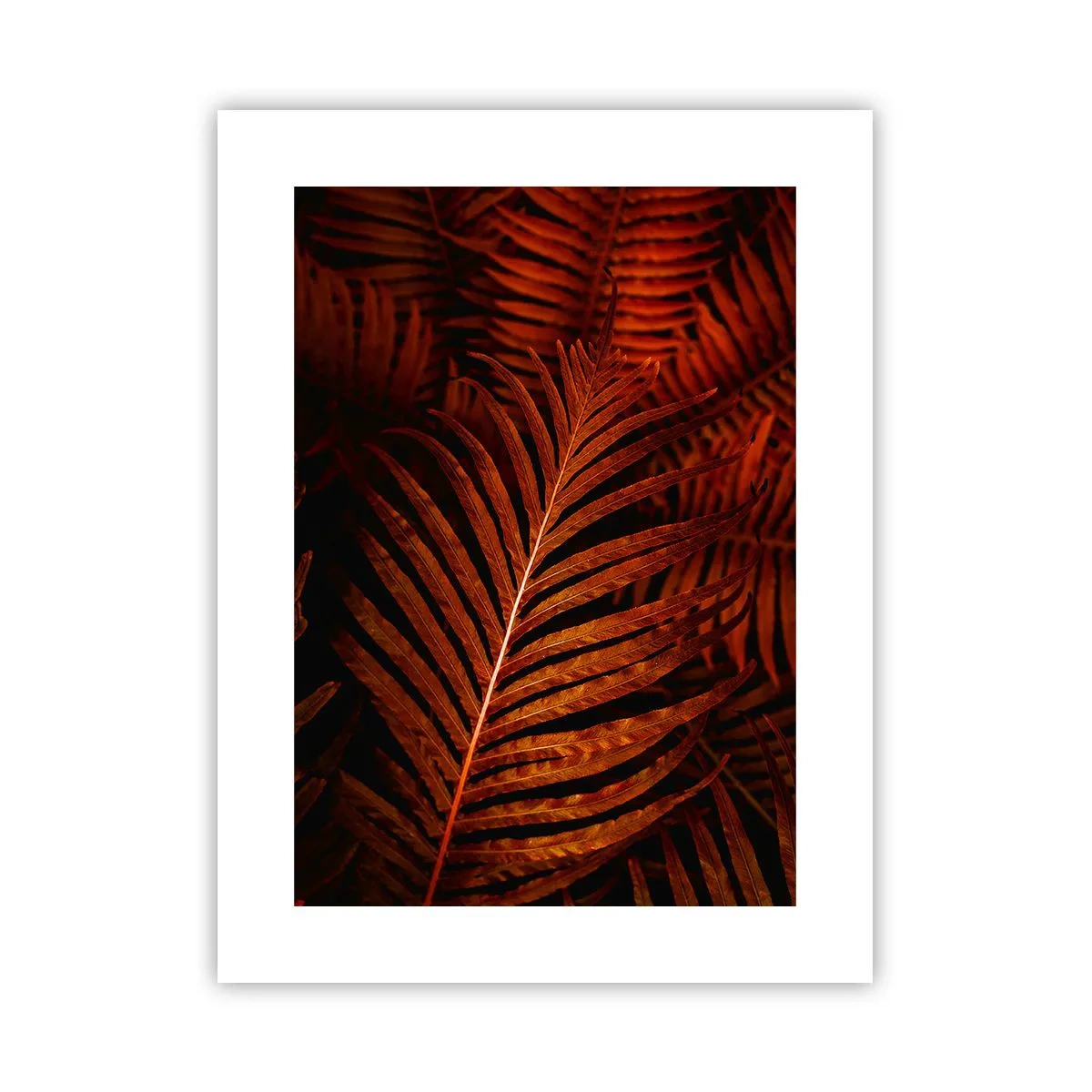 Poster - Heat of Life - 30x40 cm