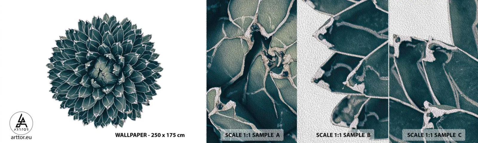 Photo Wallpaper Sample Premium Sand - Star of the Desert - Cactus, Agave, Graphics - 100x30 cm