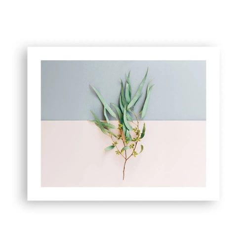 Poster - Pastel Subtlety - 50x40 cm
