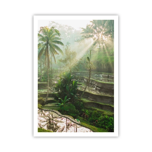 Poster - Maturing in the Sun - 70x100 cm