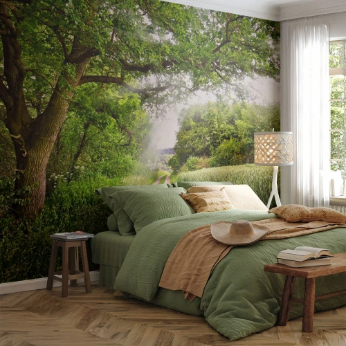Self-Adhesive Photo Wallpaper Deluxe Sticker - Et in Arcadia Ego - Landscape, Dirt road, Nature - 500x350 cm