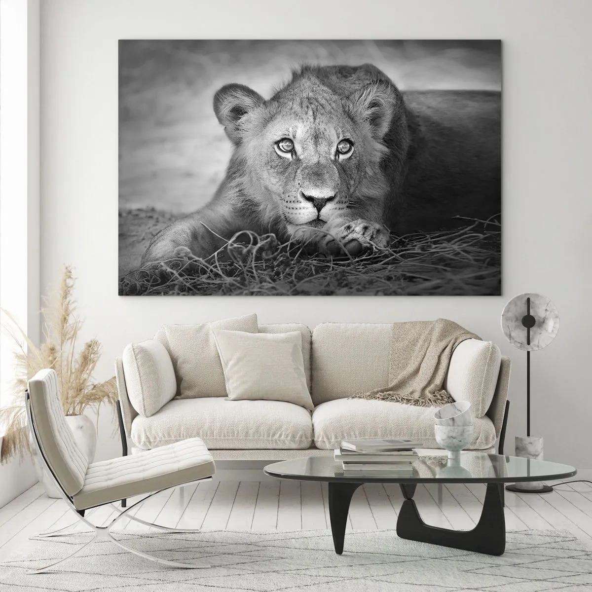 Glass picture - A lion cub in black and white staring into the camera - 70x50cm - Royal Puppy - Modern wall decoration for the living room and bedroom ARTTOR