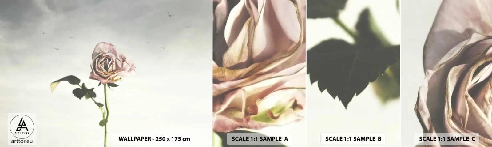 Photo Wallpaper Sample Self-Adhesive Deluxe Sticker - Welcoming of Spring - Rose, Flower, Piece - 100x30 cm