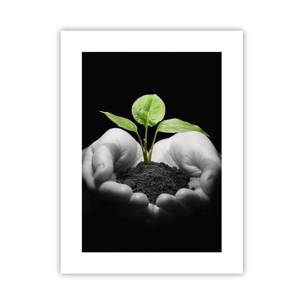 Poster - I Love Nature, I Protect It - 30x40 cm
