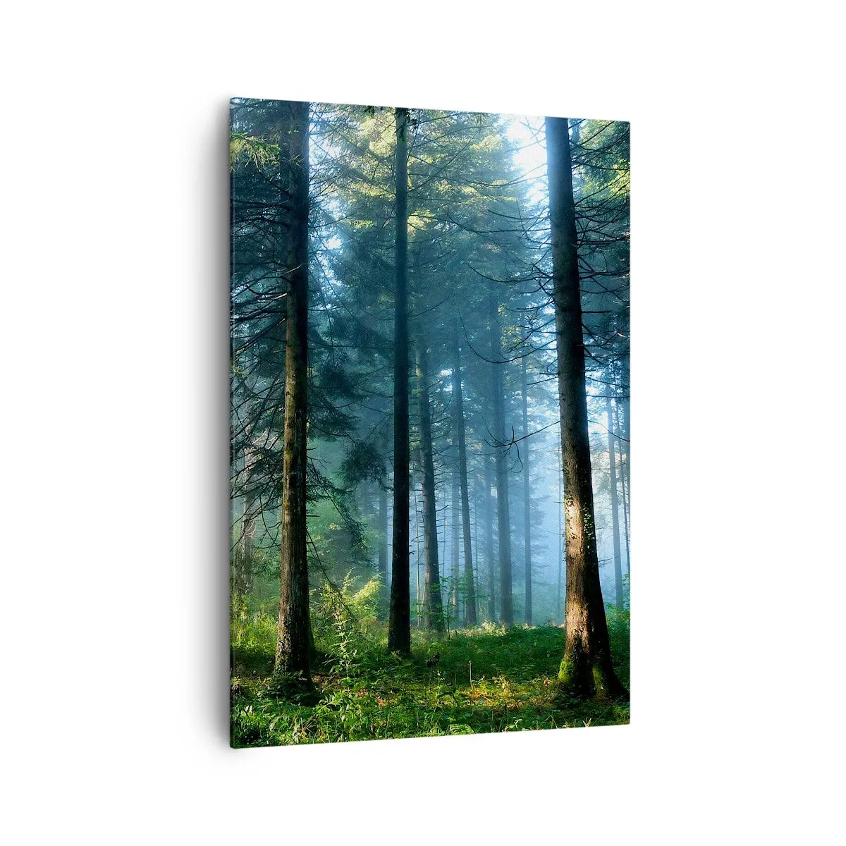 Canvas picture - Radiant at Dawn - 70x100 cm