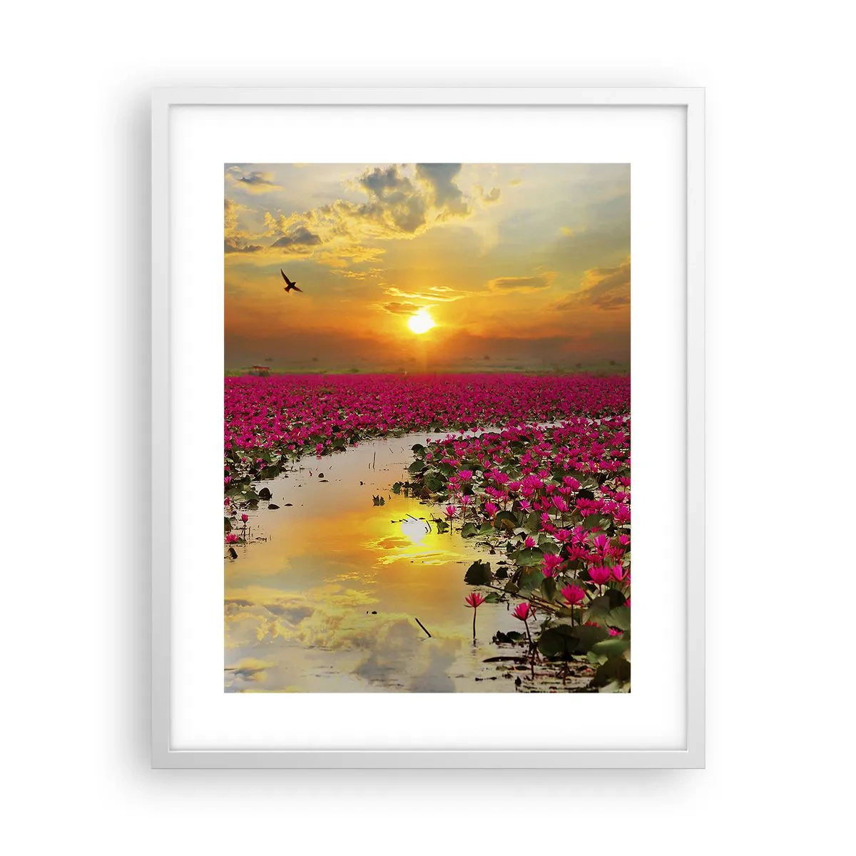 Poster in white frmae - Secret Life of a Lake - 40x50 cm