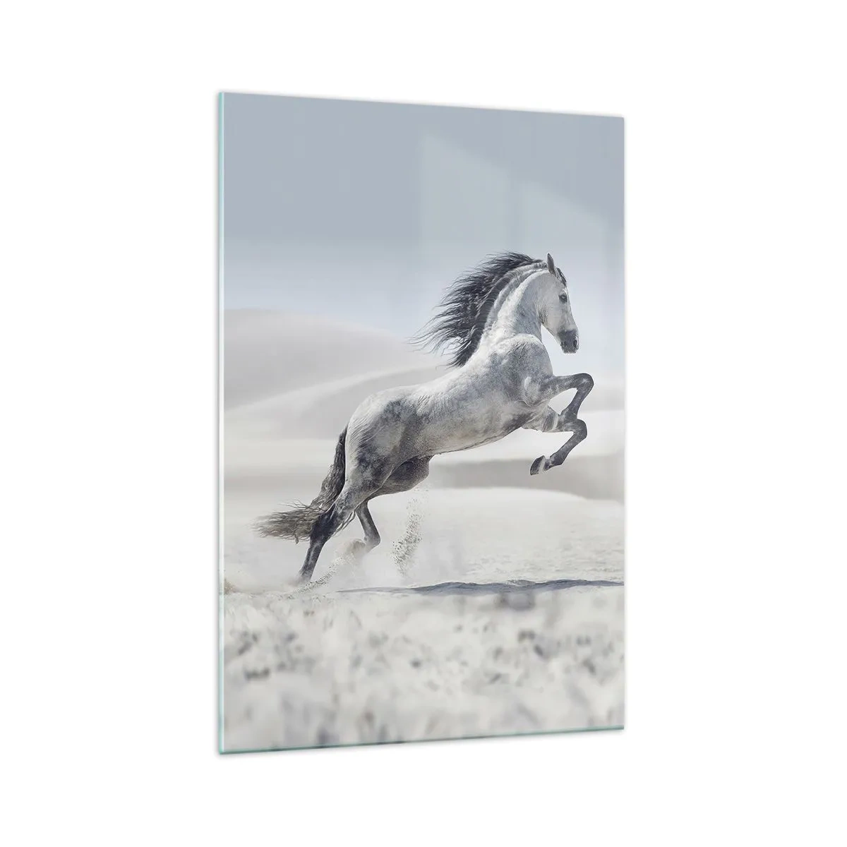 Glass picture - Arabic Prince - 70x100 cm