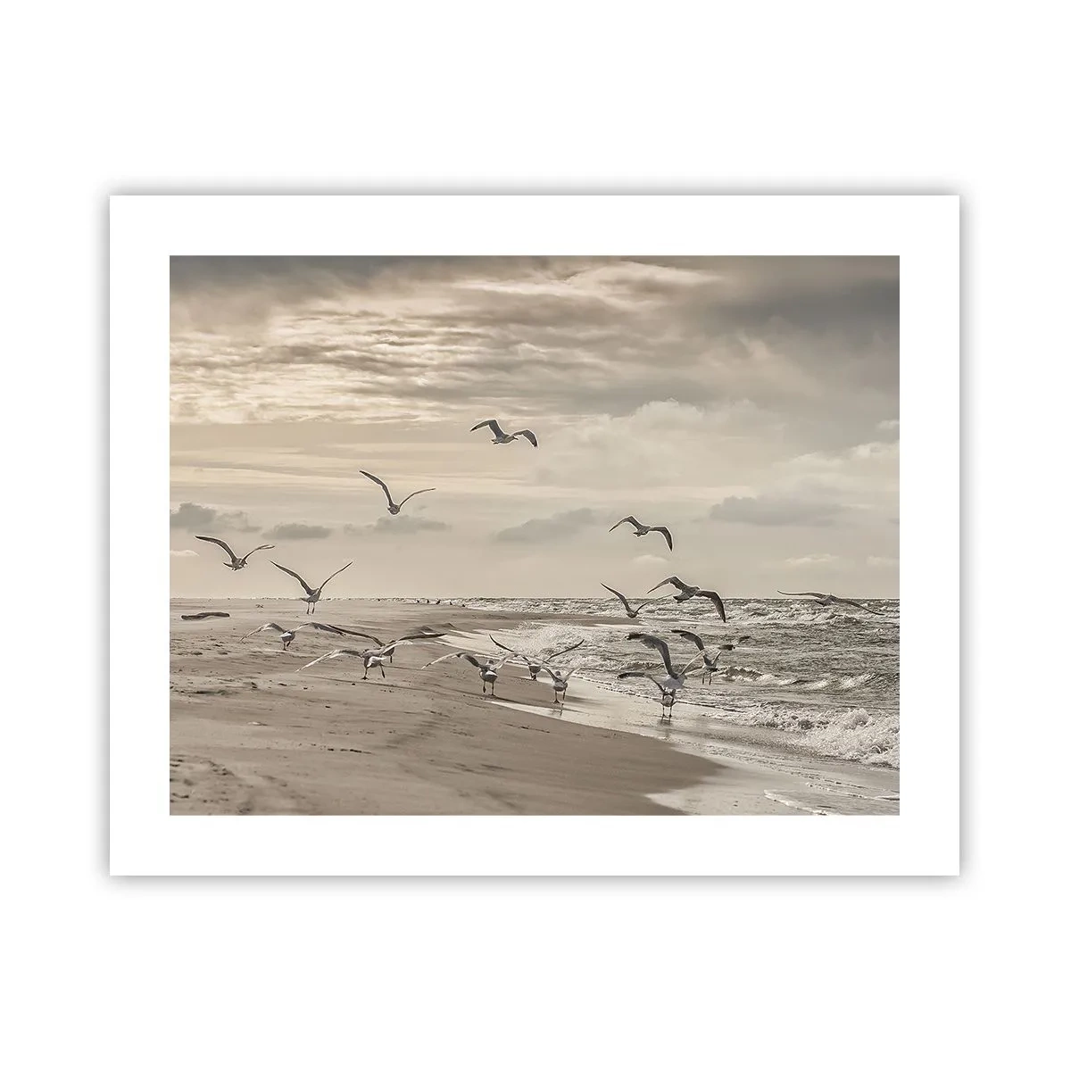 Poster - Sound of the Sea, Singing of the Birds - 50x40 cm