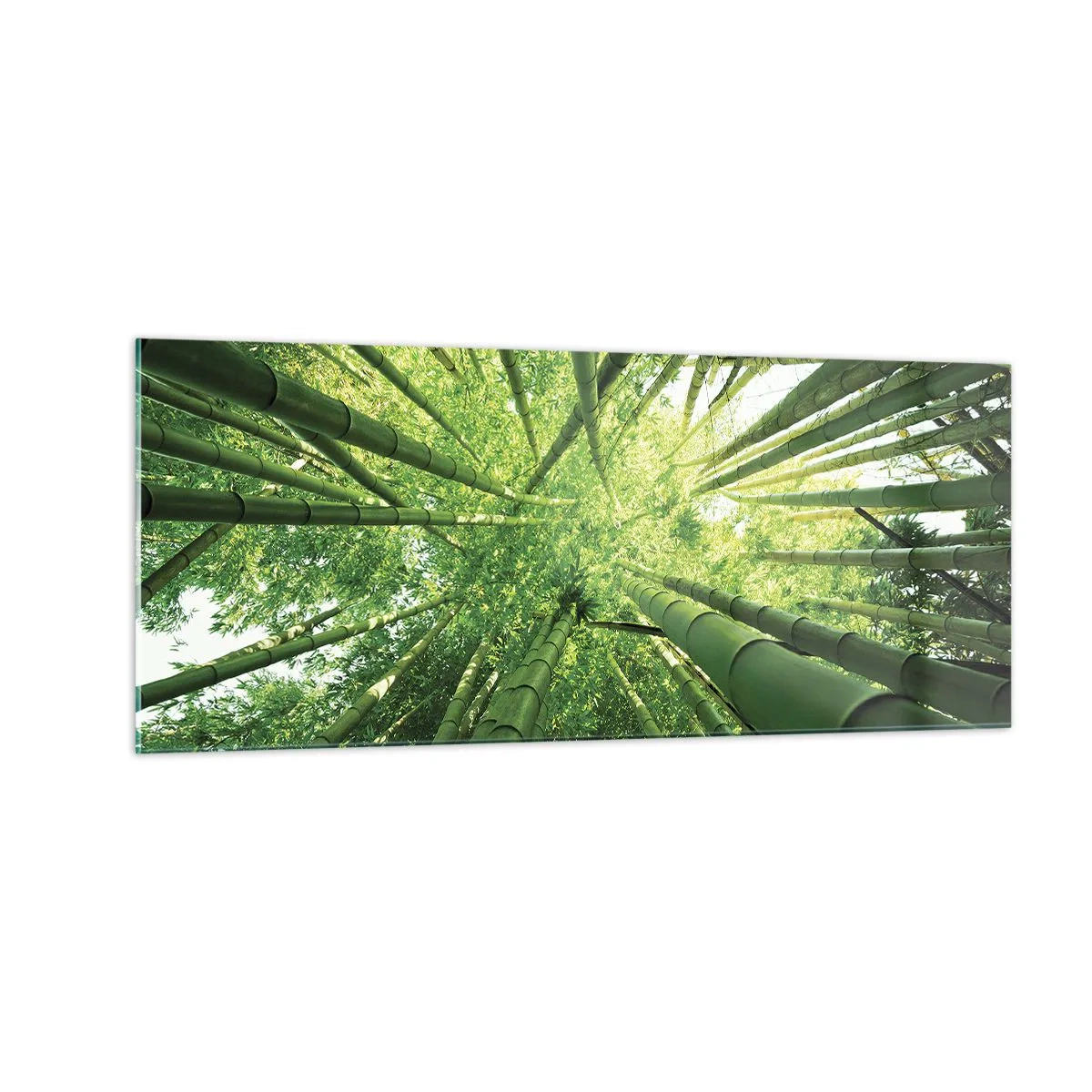 Glass picture - In a Bamboo Forest - 100x40 cm