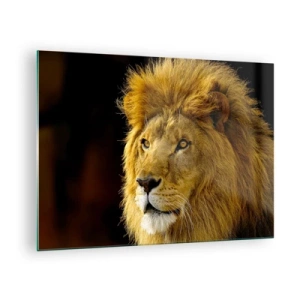 Glass picture - Portrait of a majestic lion against a dark background - 70x50cm - Portrait of a King - Modern wall decoration for the living room and bedroom ARTTOR