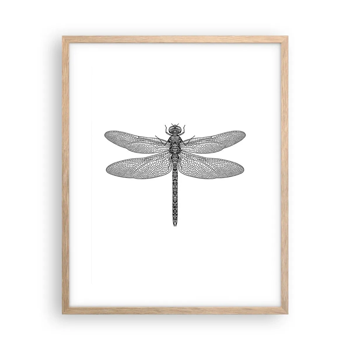Poster in light oak frame - Precision of Nature - 40x50 cm