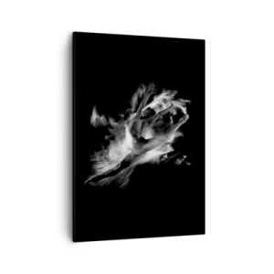 Canvas picture - Stopped i in Flight - 50x70 cm