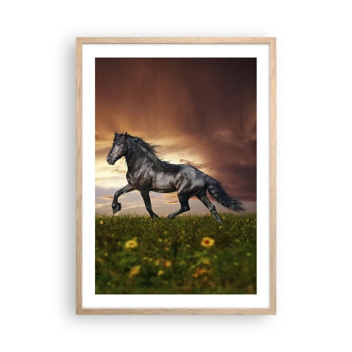 Poster in light oak frame - Black Prince - 50x70 cm