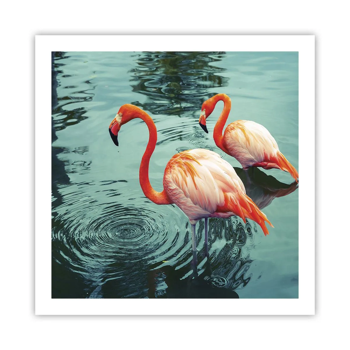 Poster - We Are En Vogue Now - 60x60 cm