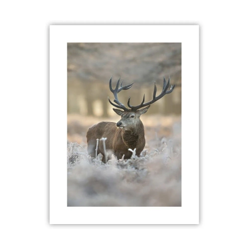 Poster - Chilly Morning - 30x40 cm