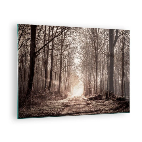 Glass picture - Forest road in the morning fog - 70x50cm - Cathedral of the Forest - Modern wall decoration for the living room and bedroom ARTTOR
