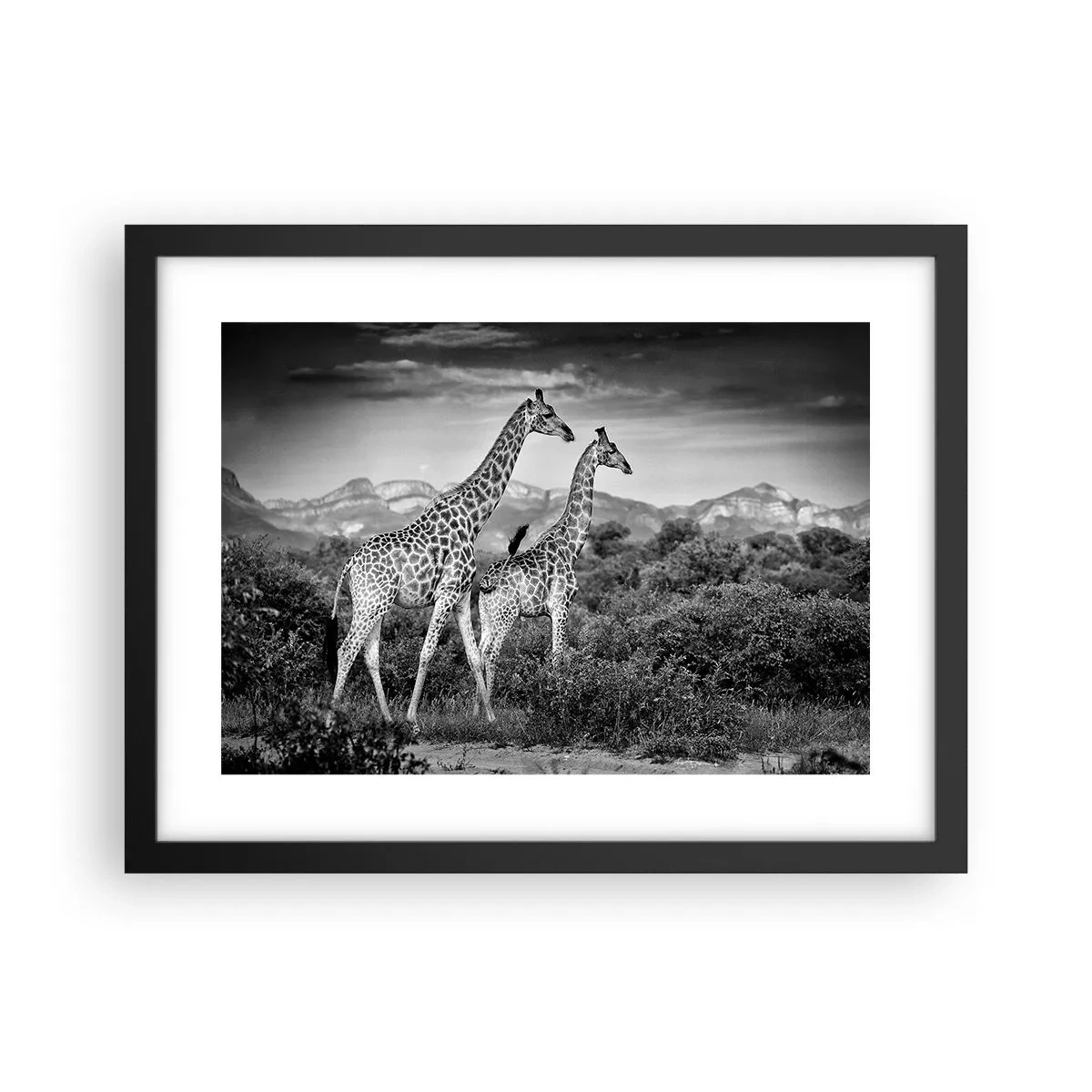 Poster in black frame - Higher Spheres in Africa - 40x30 cm