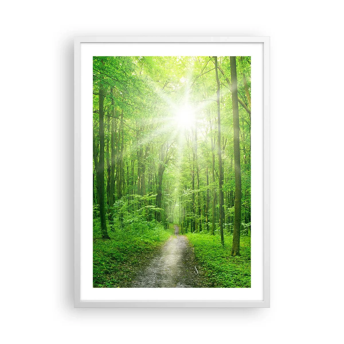 Poster in white frmae - Green Cathedral - 50x70 cm