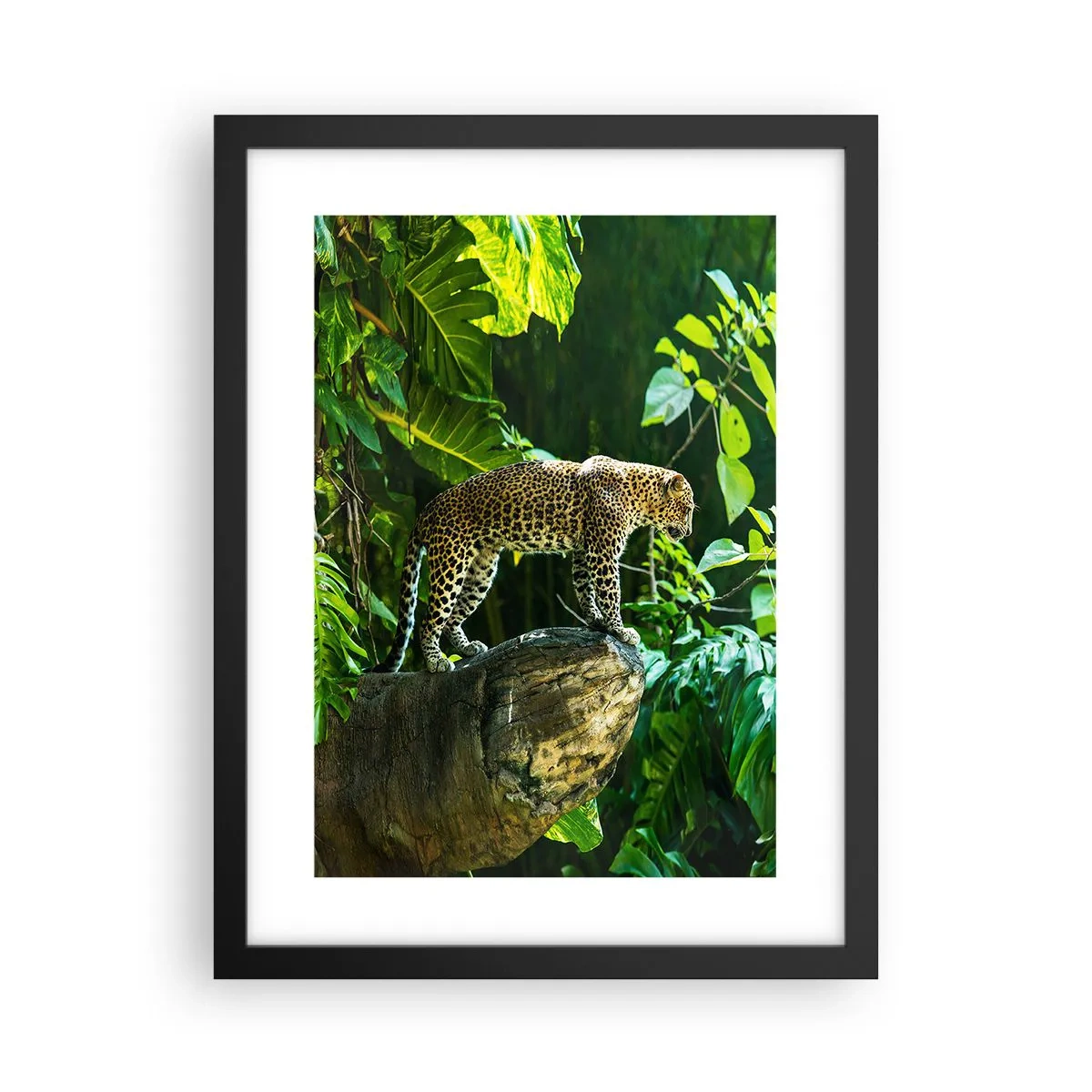 Poster in black frame - Going Hunting? - 30x40 cm