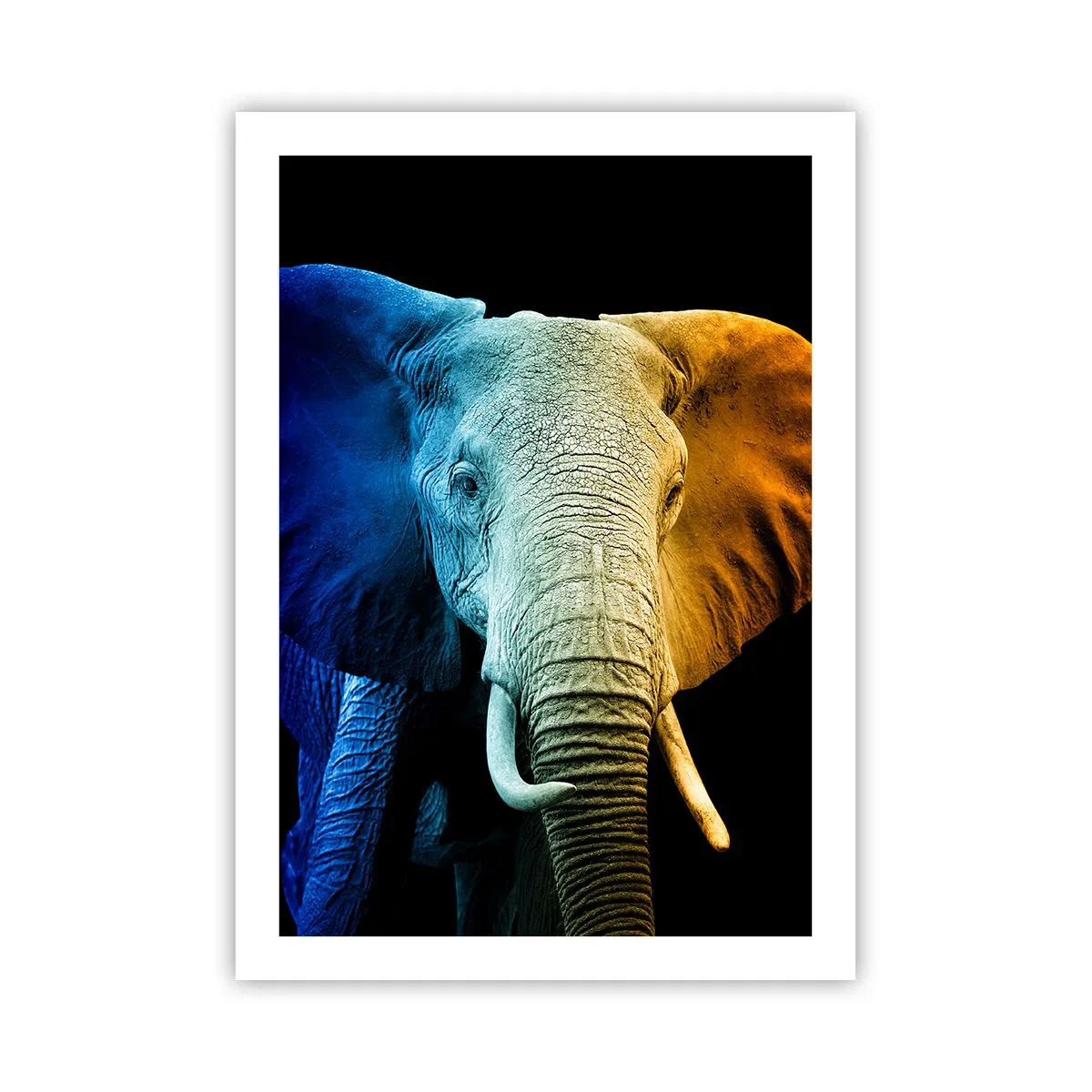 Poster - Eccentric, Not a Weirdo - 50x70 cm