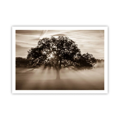 Poster - Tree of Good Knowledge - 100x70 cm