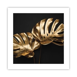 Poster - Tresaures of Nature - 40x40 cm