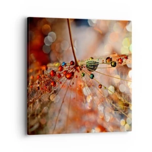 Canvas picture - Strung on a Spider's Web - 40x40 cm