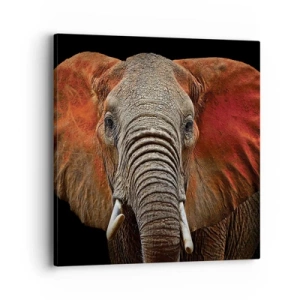 Canvas picture - I am Wild, and You? - 40x40 cm